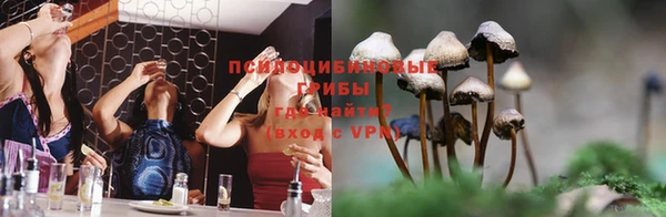 spice Армянск