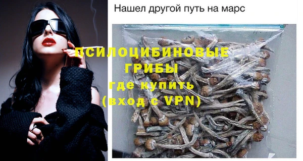 метадон Арсеньев