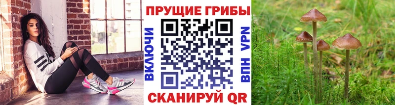 Галлюциногенные грибы ЛСД  что такое   Оса 